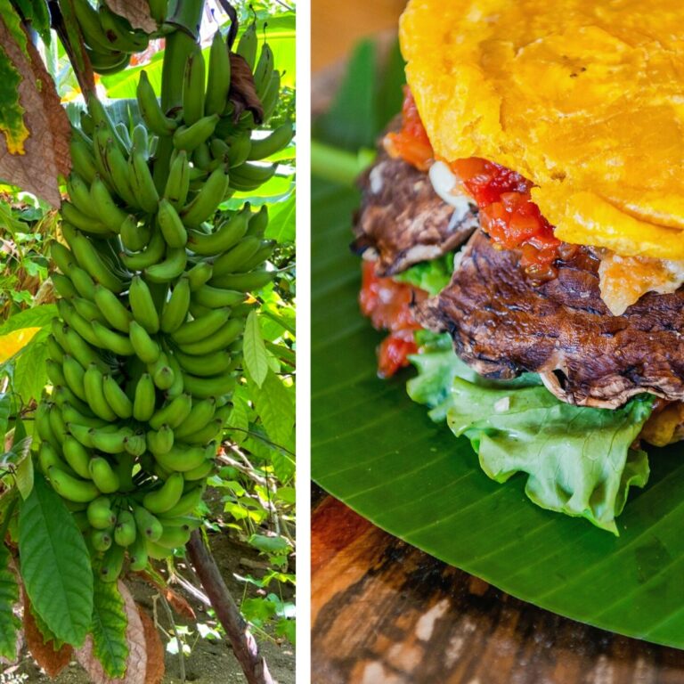 Food served at Fort Consolation, Roatan