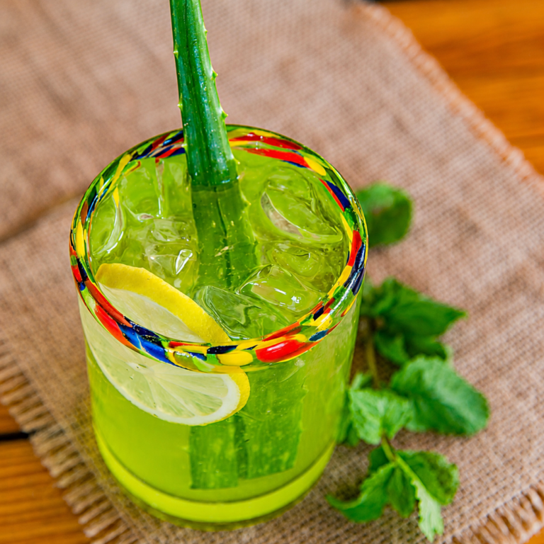 Iced lemonade with mint and lemon in a hand painted glass
